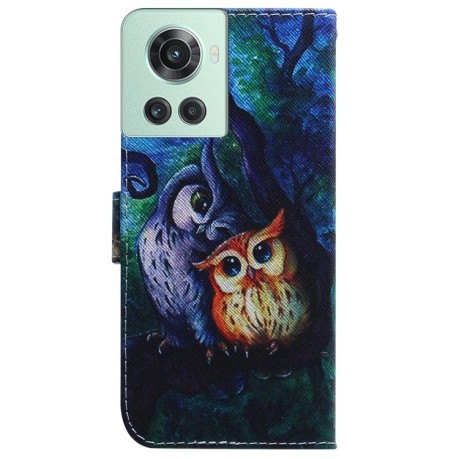 Чехол-книжка Coloured Drawing для OnePlus 10R / Ace - Oil Painting Owl