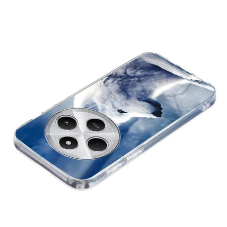Чехол Colorful Painting Pattern TPU для Xiaomi Redmi 14C 4G/Poco C75/Redmi A4 5G - Wolf