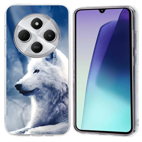 Чехол Colorful Painting Pattern TPU для Xiaomi Redmi 14C 4G/Poco C75/Redmi A4 5G - Wolf