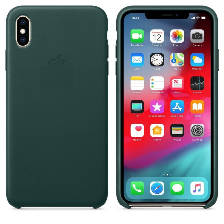 Кожаный Чехол Leather Case Forest Green для iPhone Xs Max