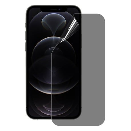 Защитная антишпионская пленка 0.1mm 2.5D Full Cover Anti-spy для iPhone 12 / 12 Pro