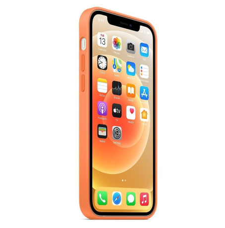 Силиконовый чехол Silicone Case Kumquat на iPhone 12 mini (без MagSafe) - премиальное качество