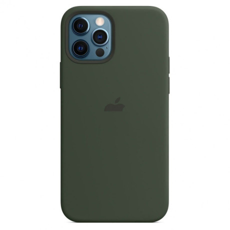 Силиконовый чехол Silicone Case Cyprus Green на iPhone 12 Pro Max with MagSafe - премиальное качество