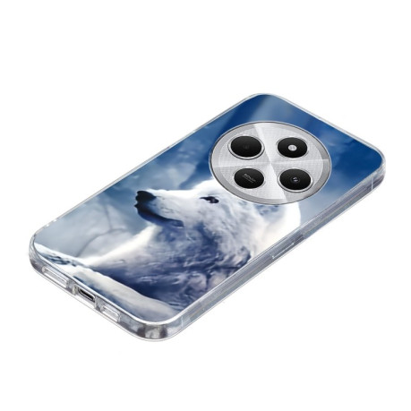 Чехол Colorful Painting Pattern TPU для Xiaomi Redmi 14C 4G/Poco C75/Redmi A4 5G - Wolf