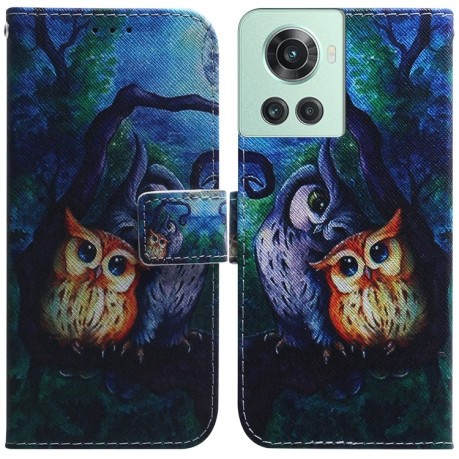 Чехол-книжка Coloured Drawing для OnePlus 10R / Ace - Oil Painting Owl