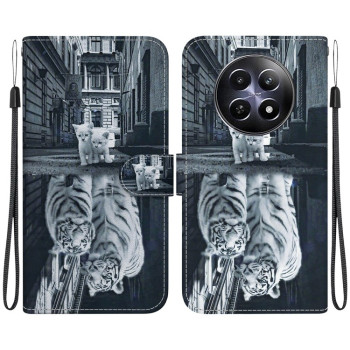 Чехол-книжка Colored Drawing Series на Realme 13 5G/12 5G/12X 5G - разноцветный