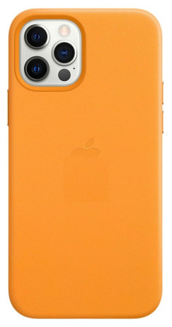 Шкіряний Чохол Leather Case California Poppy для iPhone 12 | 12 Pro (без MagSafe)