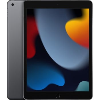 Чехлы для iPad 9/8 10.2 (2021/2020)
