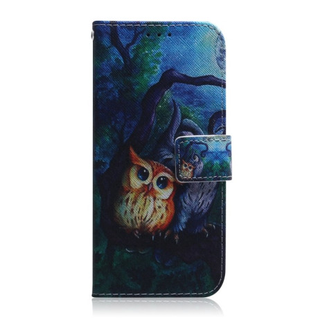 Чехол-книжка Coloured Drawing для Realme 11 4G Global - сова