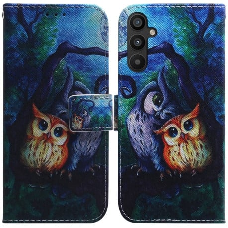 Чехол-книжка Coloured Drawing для Samsung Galaxy A34 5G - Oil Painting Owl