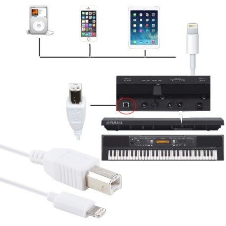 Адаптер 1 м 8 Pin to Type-B Male Piano / Electronic Piano Cable MIDI Cable Adapter - белый