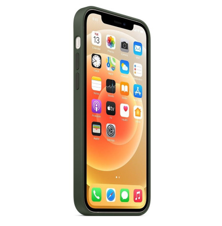 Силиконовый чехол Silicone Case Cyprus Green на iPhone 12 Pro Max with MagSafe - премиальное качество